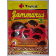 Tropical Gammarus pokarm dla ryb i żółwi 12g