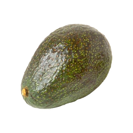 Avocado 1szt