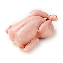 Kurczak świeży kg