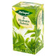 Herbapol Herbata zielona 40 g (20 x 2,0 g)