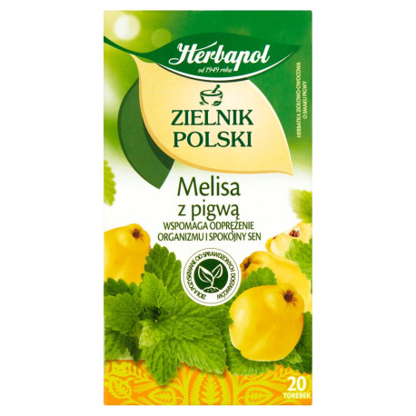 Herbapol Zielnik Polski Herbatka ziołowo-owocowa melisa z pigwą 35 g (20 x 1,75 g)
