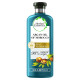 Herbal Essences bio:renew Szampon do włosów regenerujący 400 ml, z olejkiem arganowym