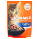 IAMS Delights z rybami oceanicznymi i zieloną fasolką w sosie Karma dla dorosłych kotów 85 g