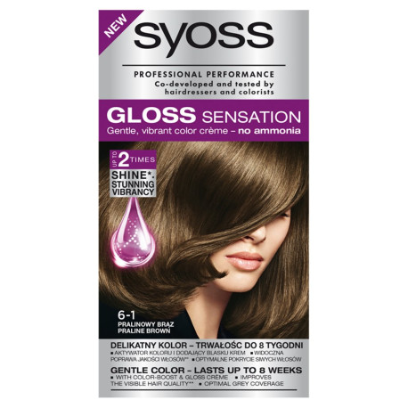 Syoss Gloss Sensation Farba do włosów Pralinowy brąz 6-1