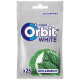 Orbit White Spearmint Guma do żucia bez cukru 35 g (25 sztuk)