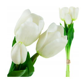 Jumi Bukiet 3 tulipanów 