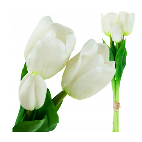 Jumi Bukiet 3 tulipanów 