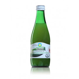 BIOFOOD Premium Ekologiczny sok z ogórków kiszonych 300 ml